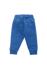 Boys Pajama - Blue Fox