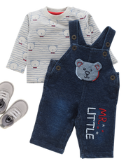 Boys Dungaree - Teddy
